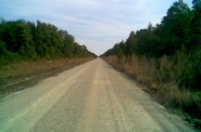 Road Reconstruction, Pocosin Lakes National Wildlife Refuge